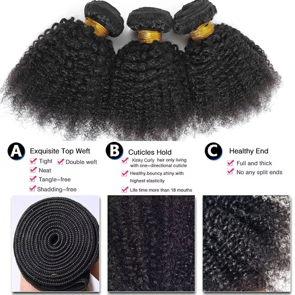 Raw Indian Kinky Curly Hair Bundles