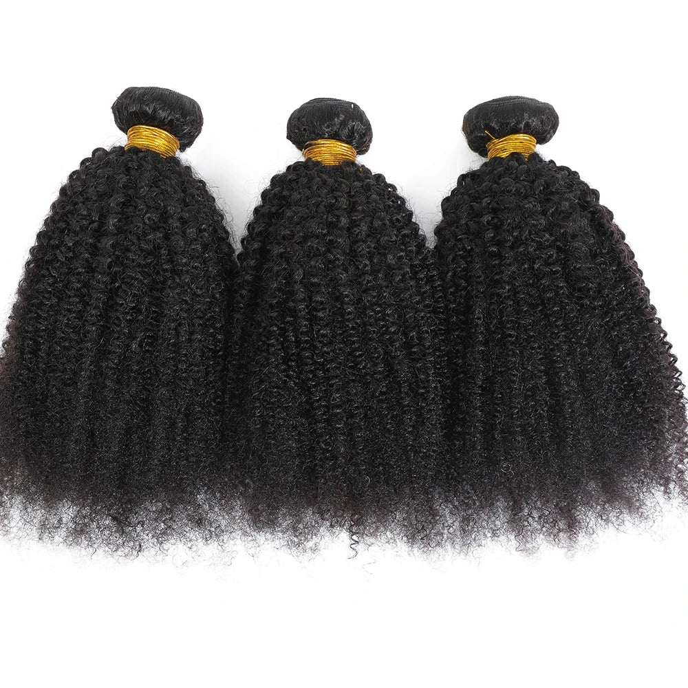 Raw Indian Kinky Curly Hair Bundles
